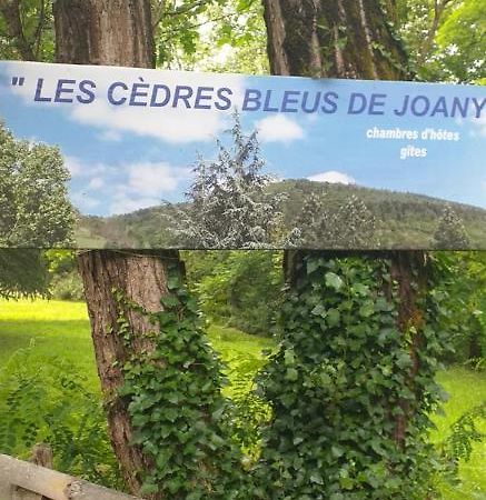 Cedres Bleus De Joany Chez Nathalie Hotel Viviez ภายนอก รูปภาพ