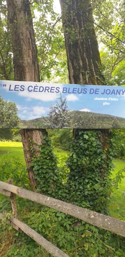 Cedres Bleus De Joany Chez Nathalie Hotel Viviez ภายนอก รูปภาพ